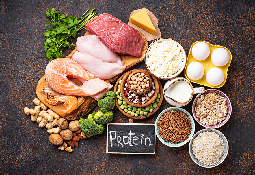 Protein and Muscle Recovery